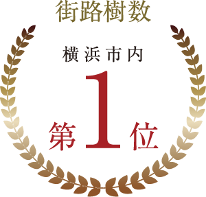 街路樹集No.1